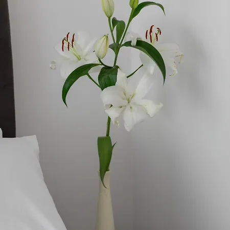 Sea&lake Luxurious With Parking By Renters Apartment