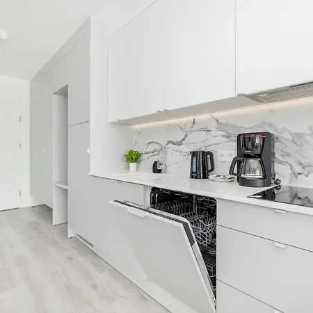Sea&lake Luxurious With Parking By Renters Apartment *